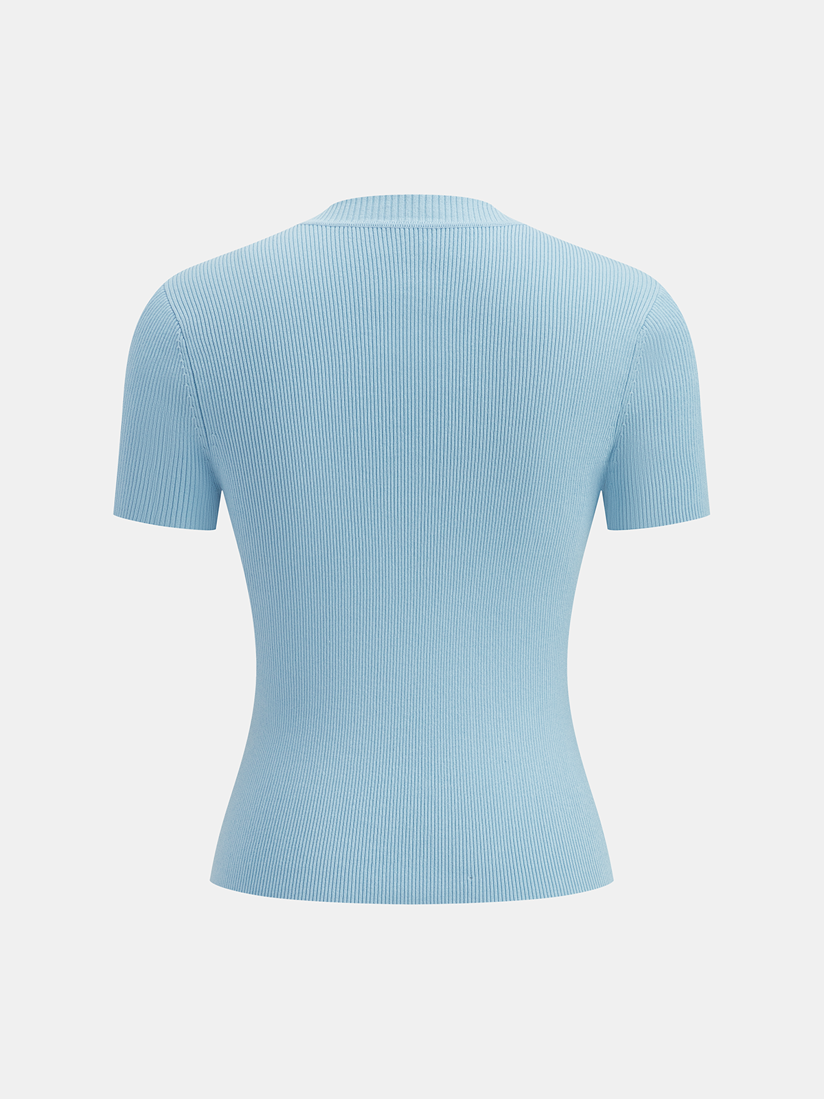 Sheer Mesh Ribbed Short Sleeve Knit Top
