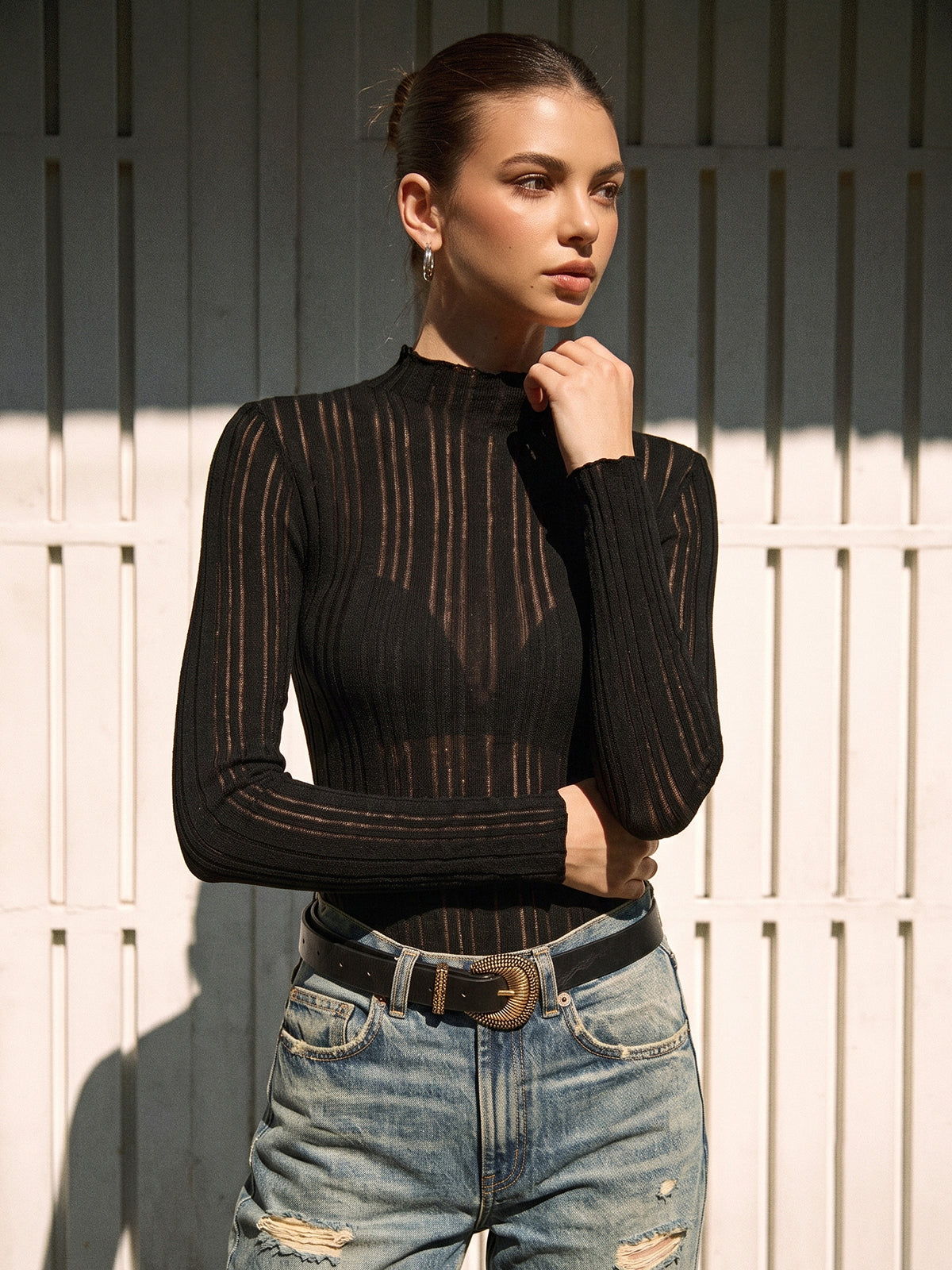 Sheer Ribbed Mock Neck Top